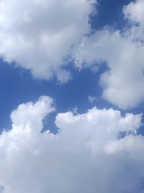 情侣的生活