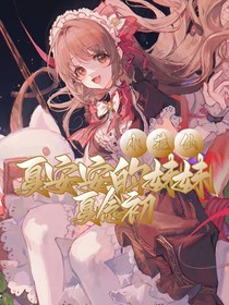 小花仙：夏安安的妹妹夏念初