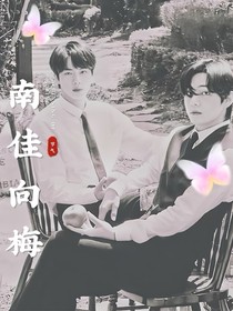 南佳向梅bts