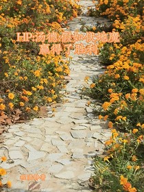 HP：汤德同人：假如伏地魔赢得胜利