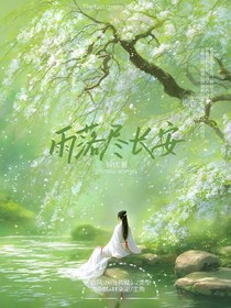 雨落盡長安啊