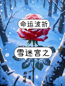 雪迷宫之命运波折