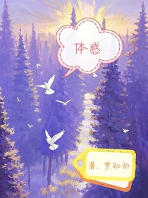 体感