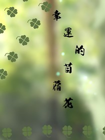 幸运的苜蓿花