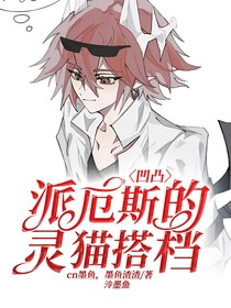 凹凸：派厄斯的灵猫搭档