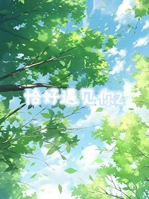 恰好遇见你Z