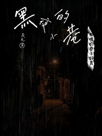 黑夜的小巷