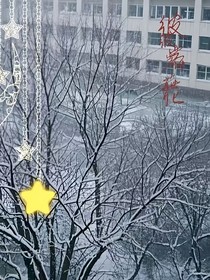 彼岸花遗憾