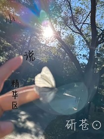小说精华区
