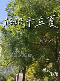 相识于立夏