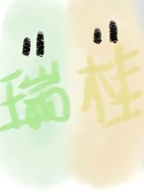桂瑞，星芒