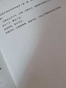 小說（只是隨筆））