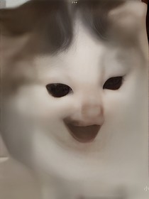 這是什么？廢話條！