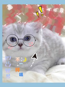 凹凸世界：不一样的喵