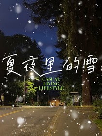 夏夜里的雪
