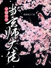 穿越兽界当玄师大佬