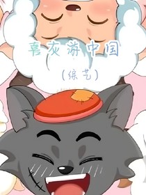 喜灰游中国（综艺）
