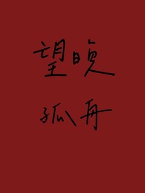 望晚孤舟