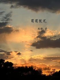 圆圆随笔