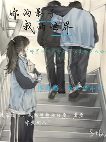 你的影子，我的世界