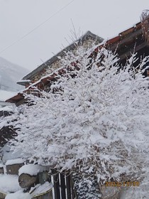 拾忆之忘却