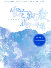 雪花飘散我们的碎缘