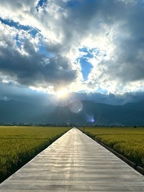 蝴蝶焰火