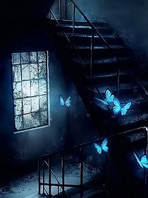 星芸工作室