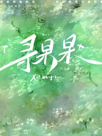 寻杲杲