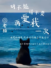 对不起，请不要在爱我一次