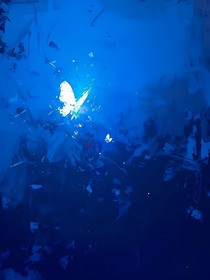 逆境中的蓝玫瑰