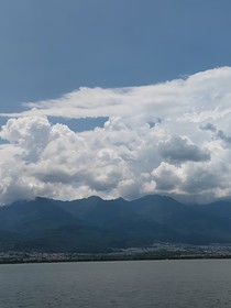 唐探1900：……