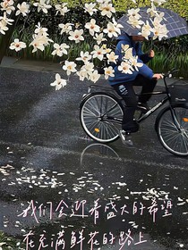 宠爱宣