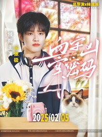 血字凶案密码