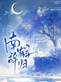 南辞鹤归