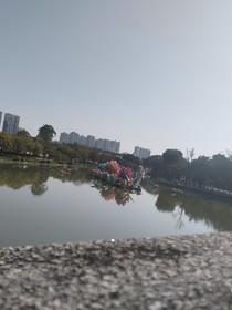 人生风景线