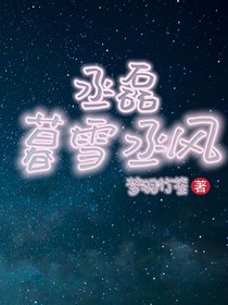丞磊：暮雪丞风