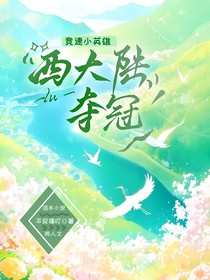 竞速小英雄西大陆夺冠