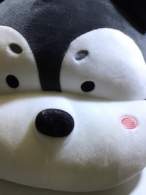 潜执cp信徒