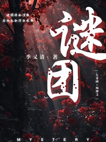 谜团（奇文）
