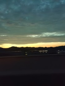 雛鳥(niǎo)不歸