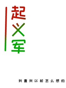 起义军