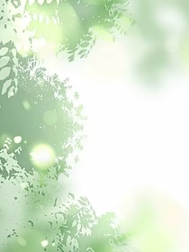 那年夏天的海