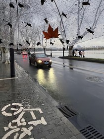 活下去为了无可替代的人