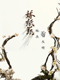 娇纸鸢