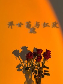 洋甘菊與紅玫瑰