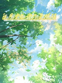 白月光也许只是戏码