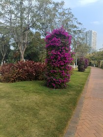 時光與你，皆是深情