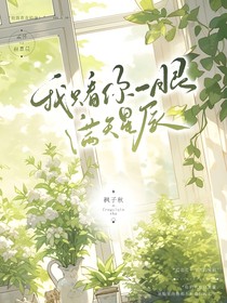 我只看你一眼，满天星辰