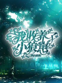 凹凸世界：我收养了一群小狼崽子